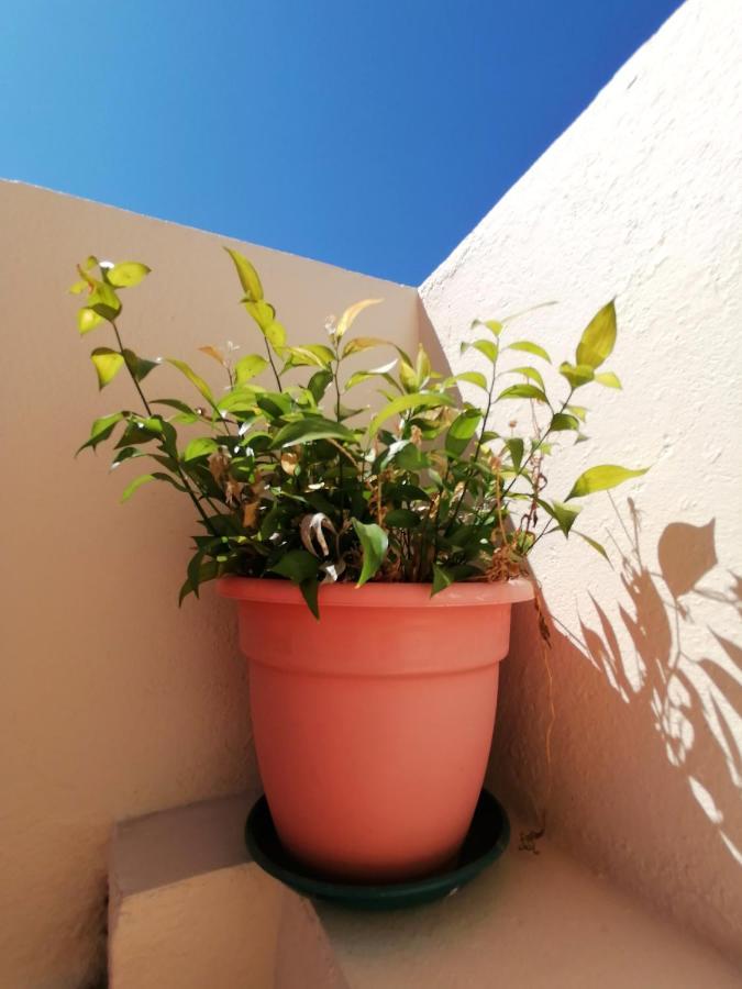 Apartamento Penha T3 Faro Exterior photo